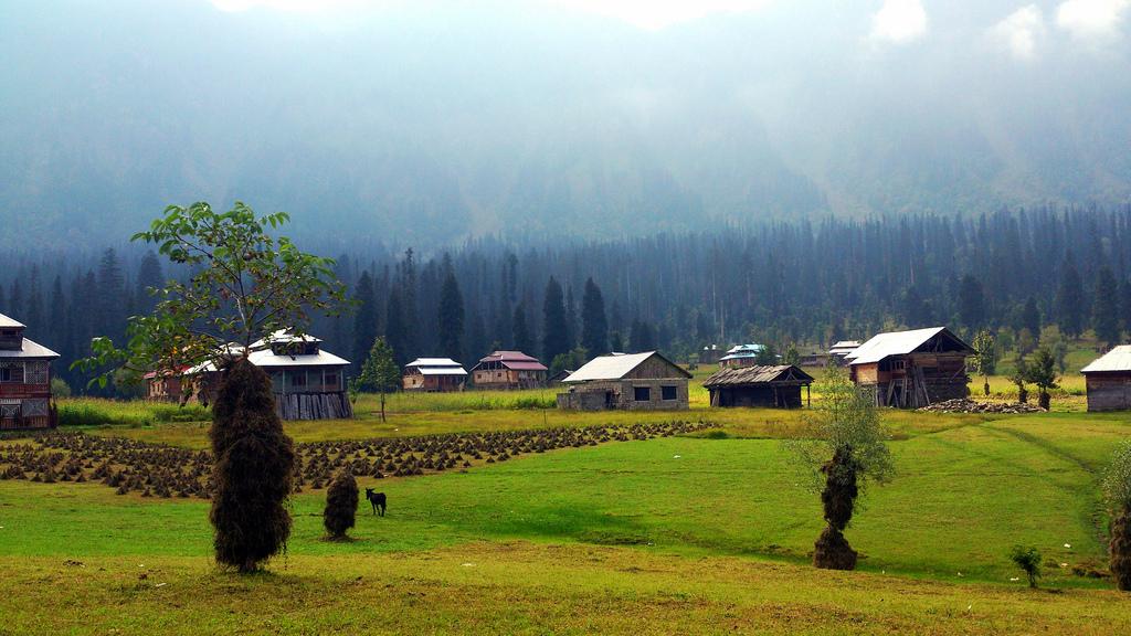 Arang kel
