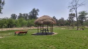 Lal Sohanra National Park