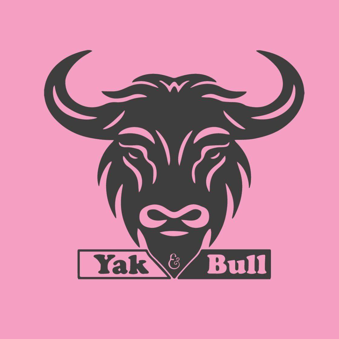 Yak and Bull Cafe Skardu