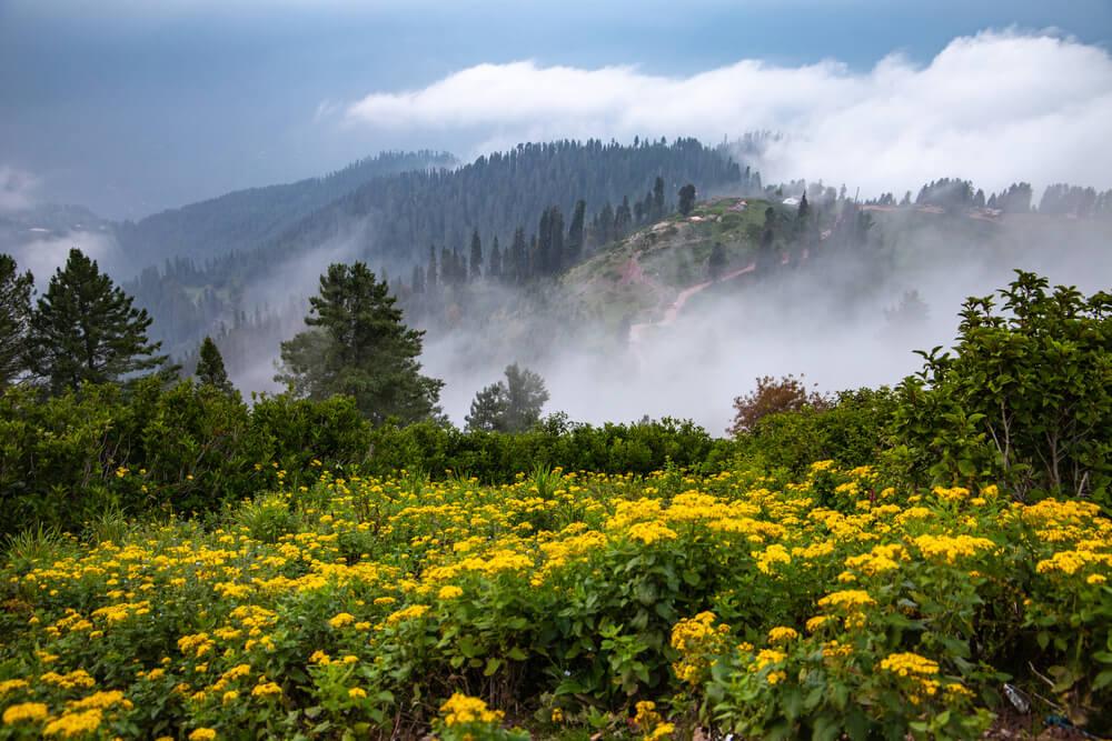 2 days tour to SHOGRAN & SIRIPAYE