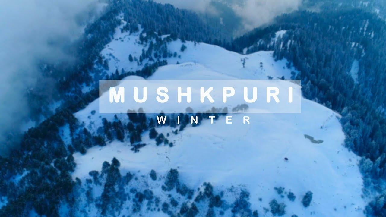 1 day tour to MUSHKPURI TOP