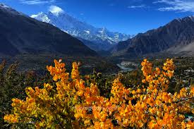 5 days tour to Hunza Valley